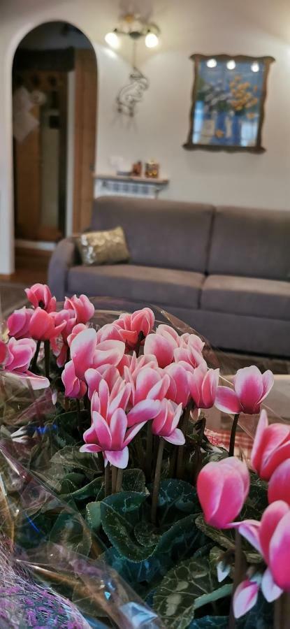 Borgo Alpino Chalet 4 아프리카 외부 사진